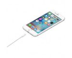 Apple Lightning To USB 1M Cable MXLY2 - Image 2