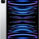 IPad Pro 2022 chip 11 inch (2022) Silver 512GB