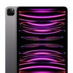 IPad Pro M2 Chip 11'' 2022 Space Gray 128GB